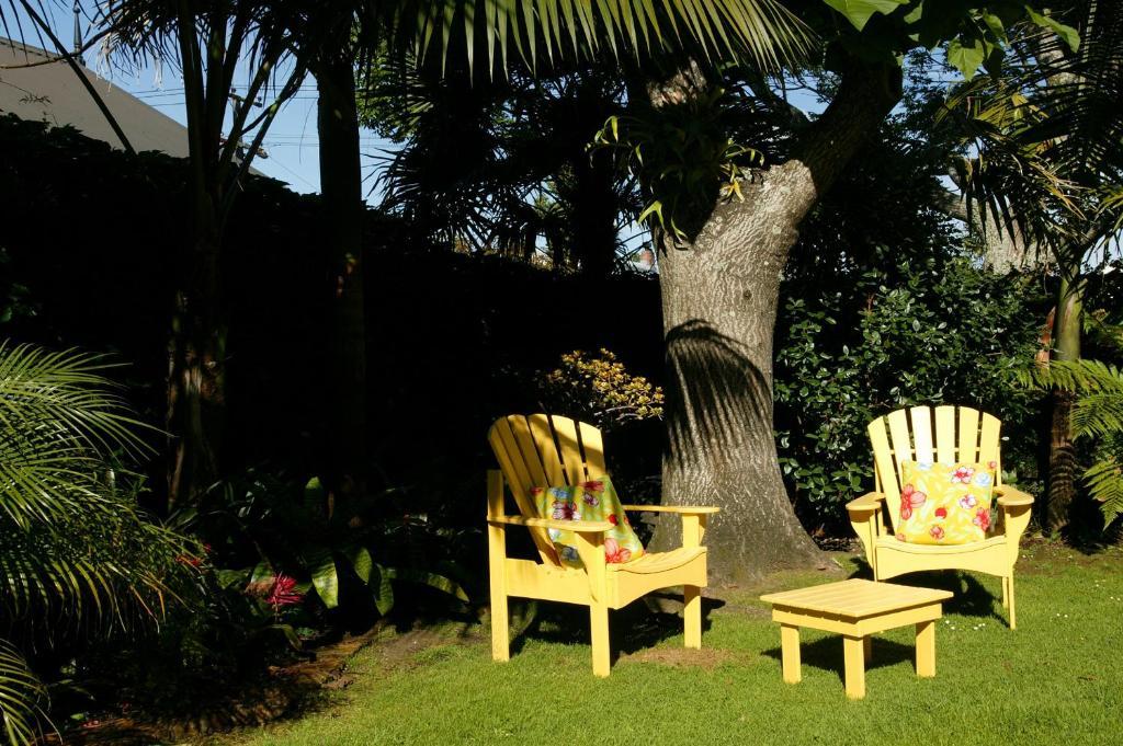 Eden Park Bed And Breakfast Inn Auckland Exteriér fotografie